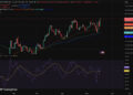 Hyperliquid The Only Green Coin: Maxi Doge Follows With Full Leverage Trading