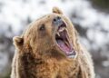 Bitcoin’s Fall To $78K Could Be A Bear Trap — Here’s Why