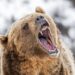Bitcoin’s Fall To $78K Could Be A Bear Trap — Here’s Why