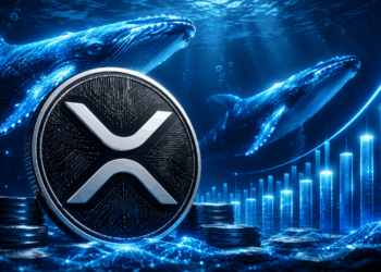 XRP Whales Hold Most Tokens Since 2018 As Price Eyes $1.50