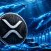 XRP Whales Hold Most Tokens Since 2018 As Price Eyes $1.50