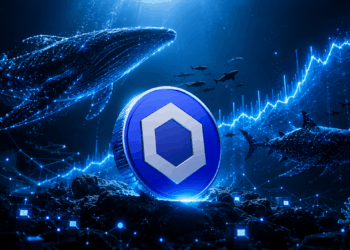 Chainlink Whales Buy 32.9 Million LINK, Holdings Hit Record High
