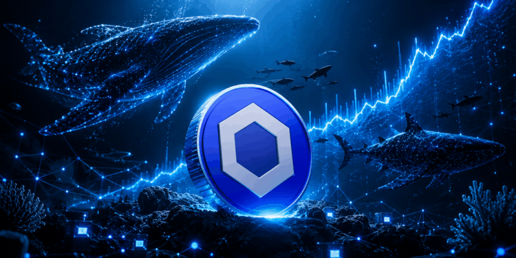 Chainlink Whales Buy 32.9 Million LINK, Holdings Hit Record High