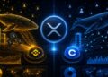XRP Whale Dominance Returns To Binance While Coinbase Data Tells A Different Story