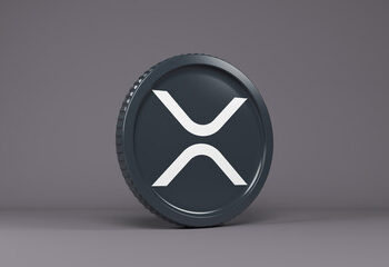 XRP Holders Rise Rapidly To Hit A New All-Time High, Will Price Follow?