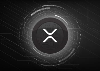 XRP Is Quietly Taking Over And These Are The Things That Investors Keep Missing
