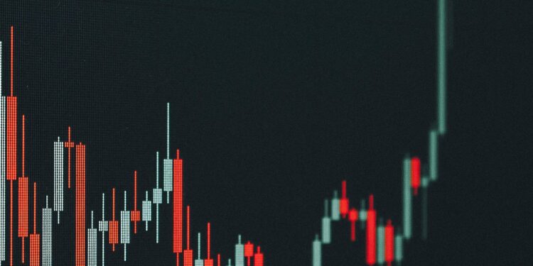 Could XRP Hit $10 This Bull Run? World’s Highest IQ Holder Thinks So