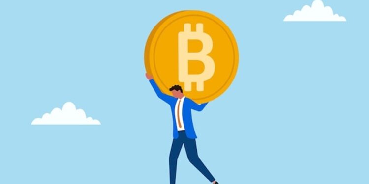 Bitcoin Register Record 15.8M Long-Term Holders Amid Price Decline