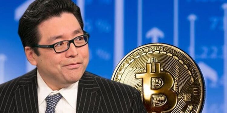 Tom Lee’s BitMine Says ETH Holdings Have Reached 5.67 Millio