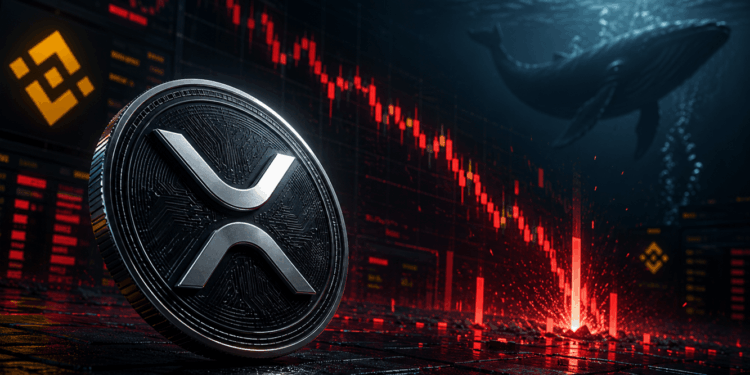 XRP Sell-Off Driven By Liquidations, Not Whale Dumping: Data