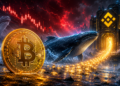 Bitcoin Whales Return To Binance: Selloff Echoes February Panic