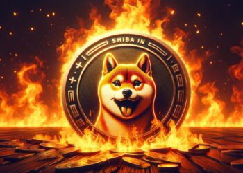 The End Of An Era? Shiba Inu Burns Slow To A Crawl As Investors Lose Interest