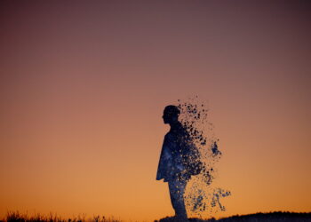 Cardano Isn’t Fading Away, DEX Aggregator Says As DeFi Metrics Rise