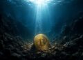 Why The Bitcoin Price Could Mark A Generational Bottom And Rise Over 200%