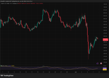 Ripple CTO Says Zcash Holders Are Safe, But the Bug That Could Have Created Fake ZEC for 4 Years Cannot Be Disproven