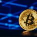 Bitcoin CVDD Data Points To Possible Bottom Amid Market Mayhem