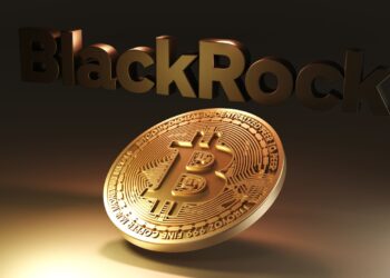 BlackRock Says 1% To 2% Bitcoin Allocation Is Reasonable For Traditional Portfolios