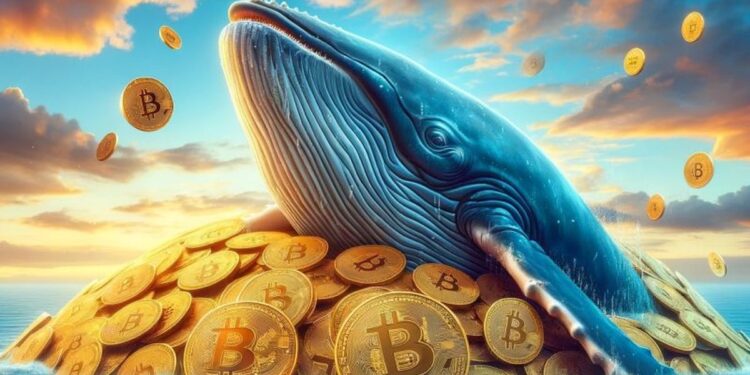 Bitcoin Whales Add $700M As Seller Exhaustion Signal Returns