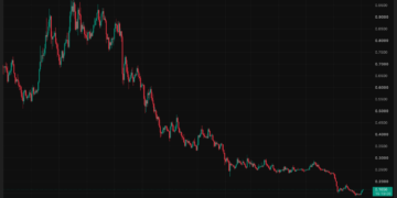 Cardano News: ADA Shorts Just Got Squeezed $857K in 24 Hours While Whale Wallets Hit an All-Time High, Is the Bottom Finally In?
